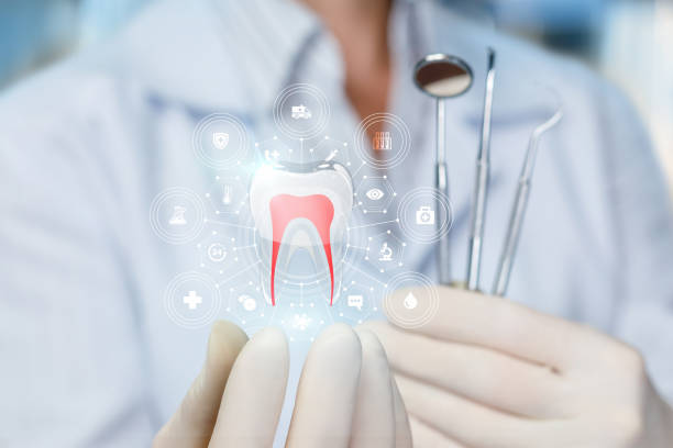 Why Choose Us for Your Dental Needs in East Falmouth, MA